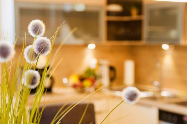 Wohlfühlurlaub in der Ferienwohnung Lachmöwe im Ostseebad Sellin auf Rügen
