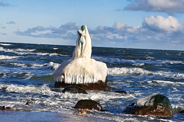 Foto Eisfrau